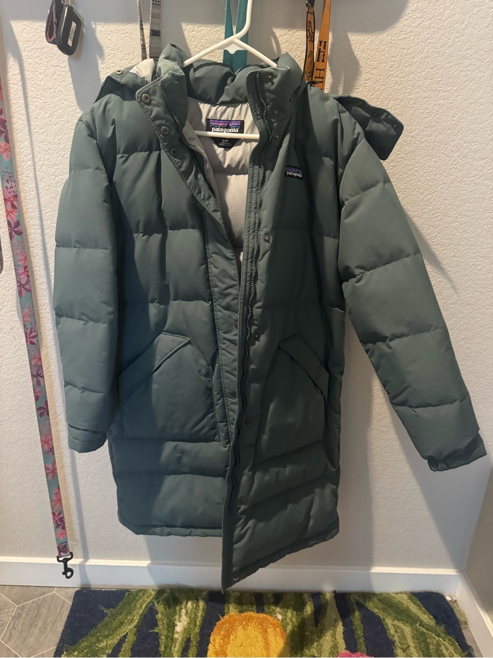 Patagonia Women’s Puffer Coat in Sage Green